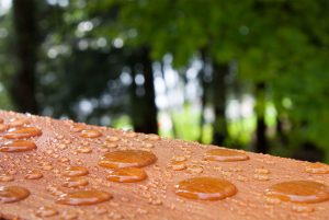 nano protection for wood